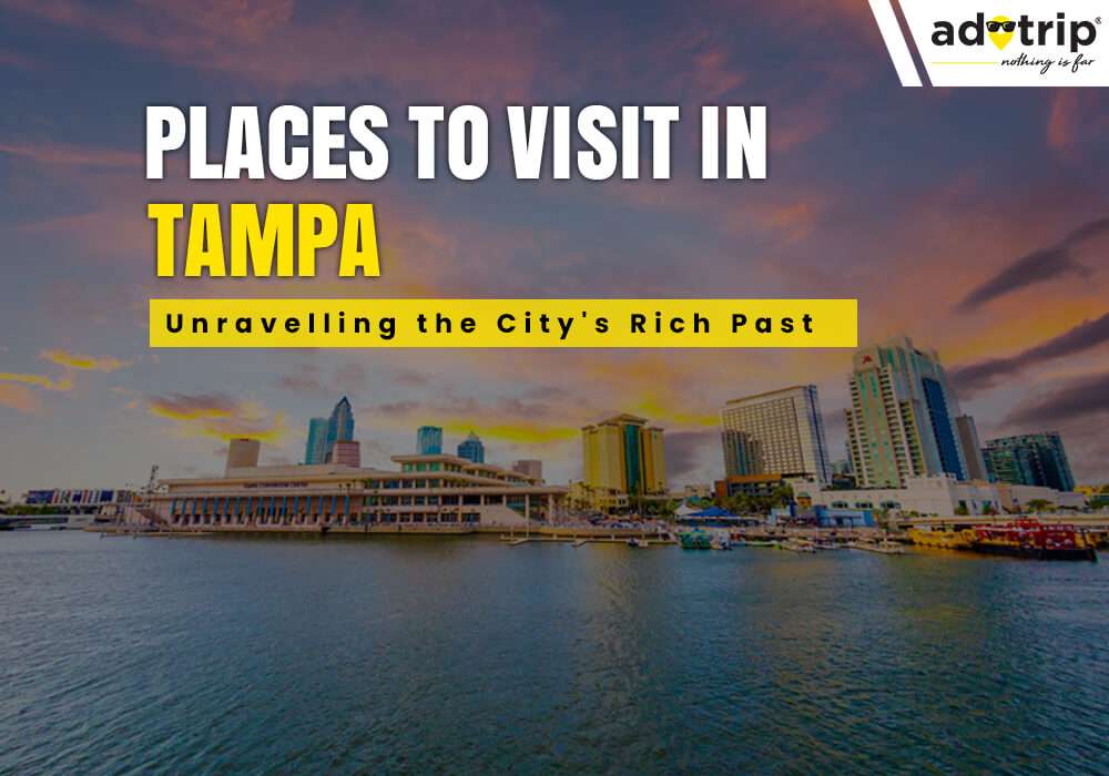 20 Best Tourist Places To Visit In Tampa 2024